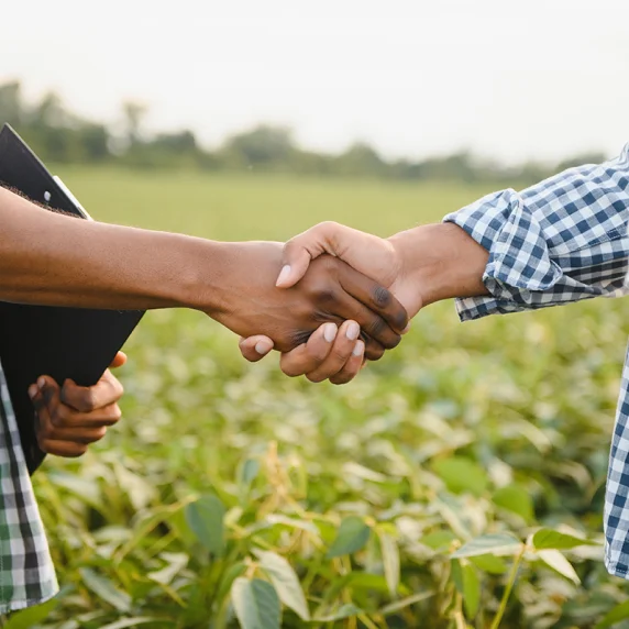 Foto do aperto de mão de duas pessoas.