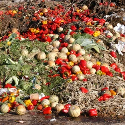 Foto de vários tipos de legumes e verduras jogados no chão.