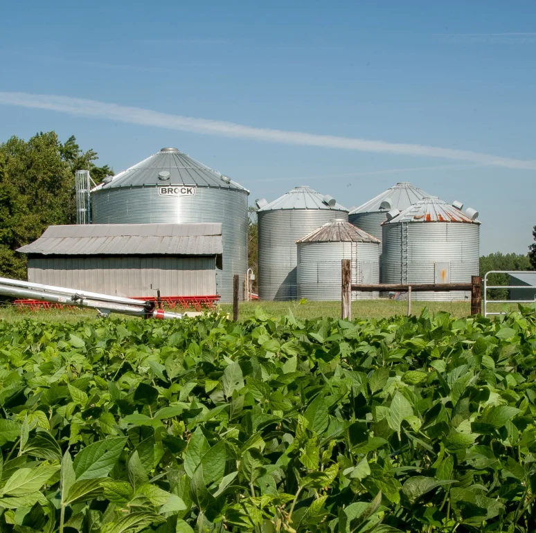 Foto de lavoura com uma casa e cinco silos.