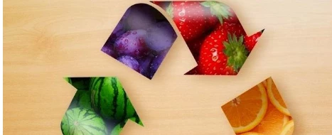 Mãos à Obra: Salvando Alimentos, Nutrindo Vidas!