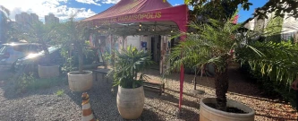 Revitalização com propósito: Educação e Cultura em Paraisópolis