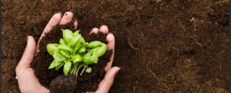 Capacitação Técnica em Agroecologia