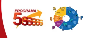 PDCA e 5S nas Escolas