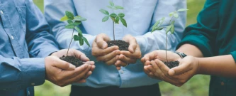 Revitalização de Espaço Aberto para contato com Natureza