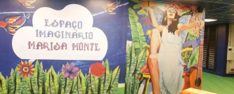 Ação Voluntária no Espaço Imaginário Marisa Monte