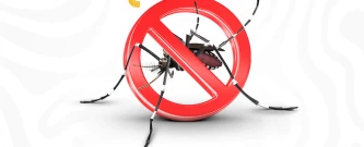Bota Fora Dengue