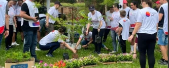 Cultivando Solidariedade: Arrecadação de Mudas para a Horta da Embaixada