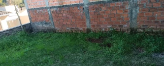 Horta Educativa