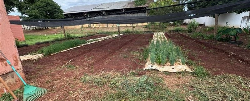 Eu liderando DANIAMBIENTAL