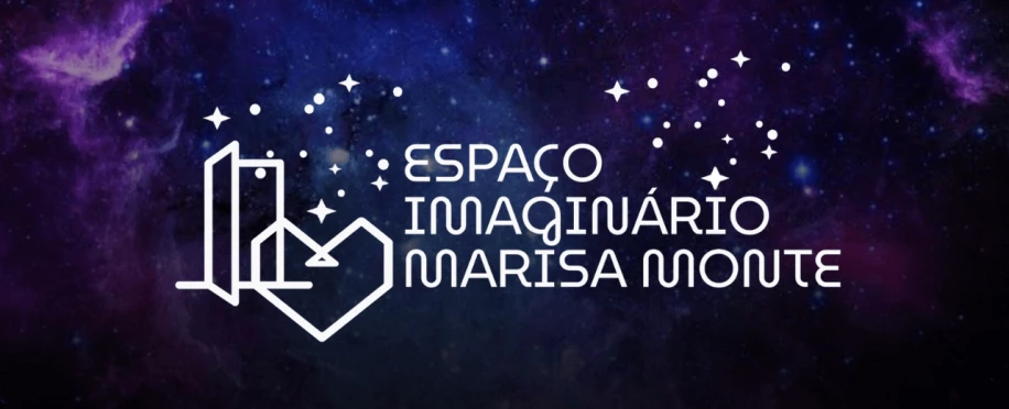 Ação Voluntária no Espaço Imaginário Marisa Monte