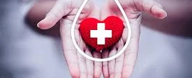 Divida o Amor que Corre em suas Veias