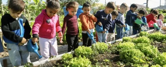 Ação de Educação - Plantar para Colher