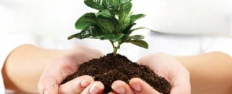 Transformar para Nutrir: Compostagem em Ação - Matutino