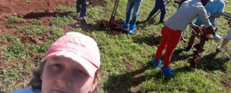 Construção do piso e do muro/ preparando o espaço para a grama sintética