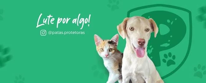 Vamos juntos salvar patinhas - Produção de cucas