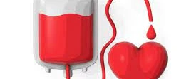 Doação de sangue - Hemopasso