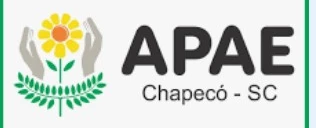 Show de talentos - Natal com a  APAE Chapecó