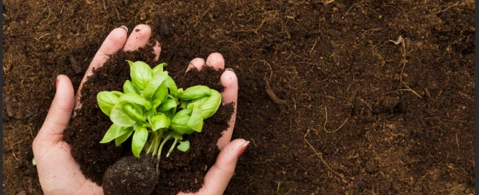 Capacitação Técnica em Agroecologia