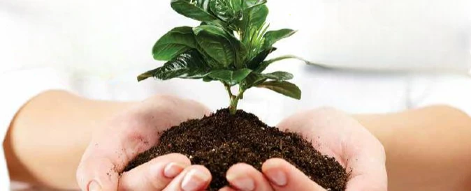 Transformar para Nutrir: Compostagem em Ação - Vespertino