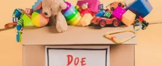 Arrecadação de Brinquedos