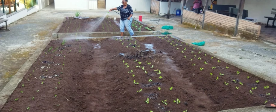 Cultivando Sorrisos | Horta Revitalizada para Ass. Beneficente Meninos Jesus