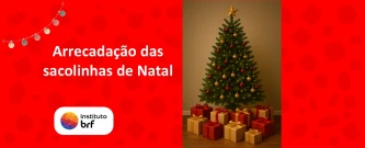 Arrecadação das sacolinhas de Natal