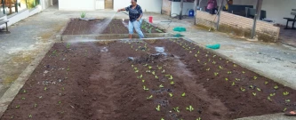 Cultivando Sorrisos | Horta Revitalizada para Ass. Beneficente Meninos Jesus