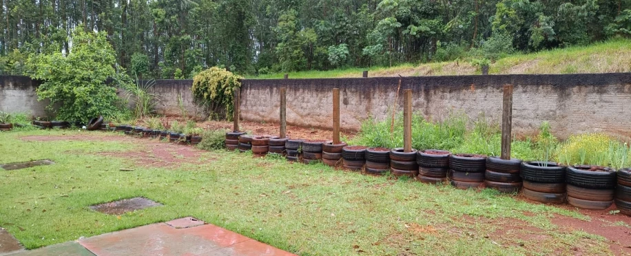 Capinar - preparar solo para revitalização de horta