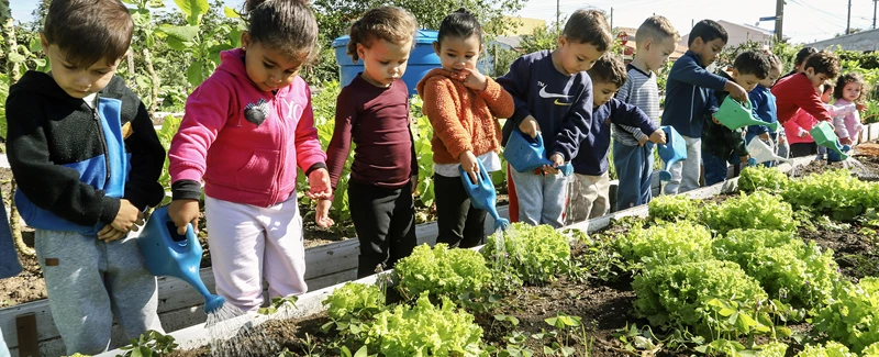 Ação de Educação - Plantar para Colher