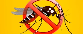 Combate à dengue na Região de PNG